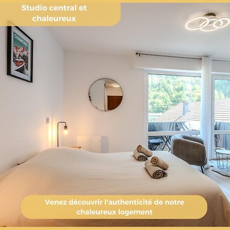 Chez Max I Studio I Cluses Dış mekan fotoğraf