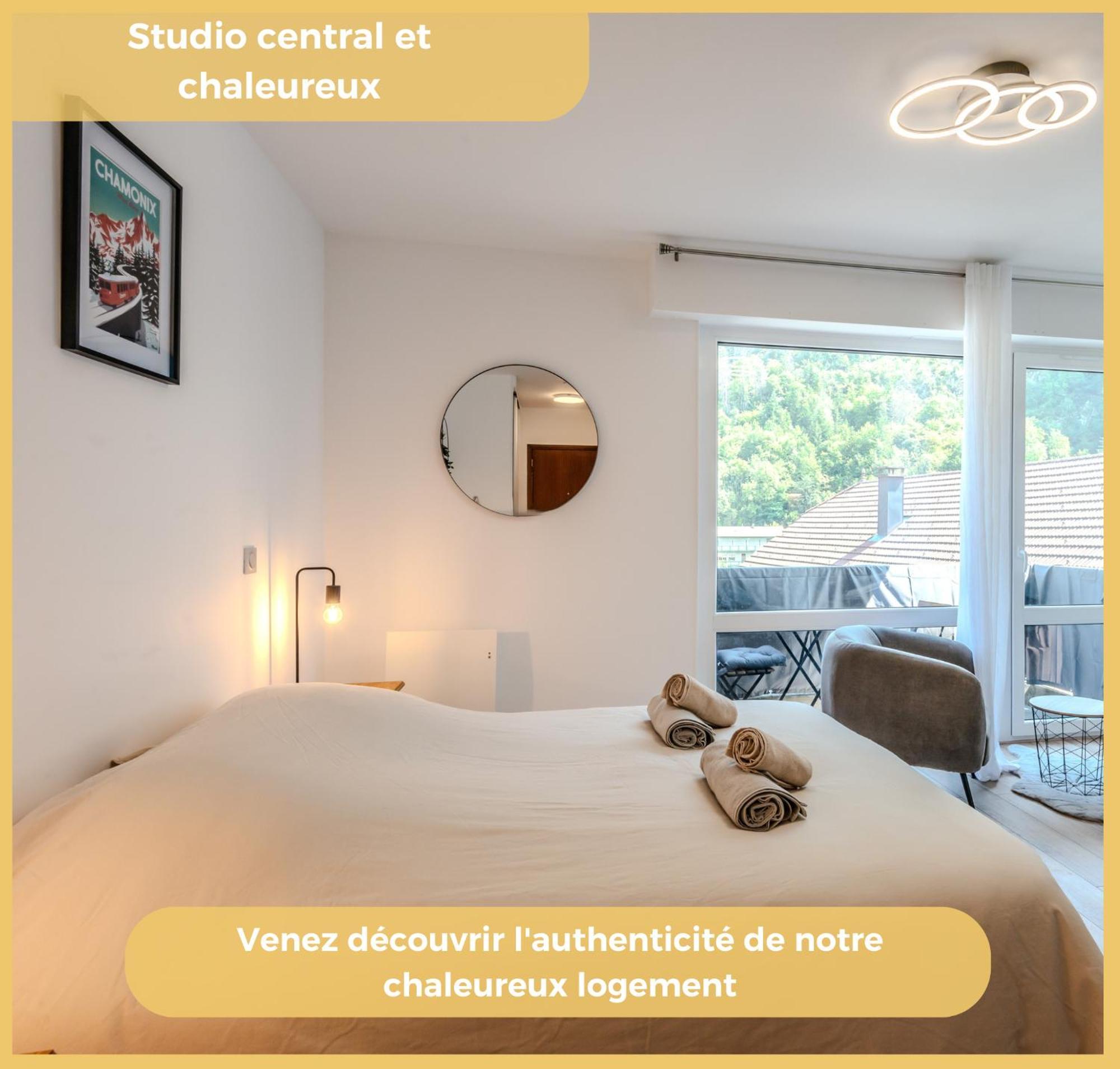 Chez Max I Studio I Cluses Dış mekan fotoğraf
